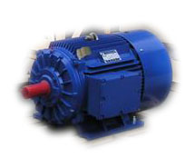 供應(yīng)大連電機(jī)廠1D系列三相異步電動(dòng)機(jī)