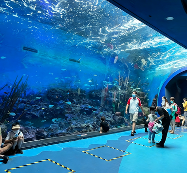 亞克力水族魚缸，定制透明亞克力魚缸 亞克力水族館