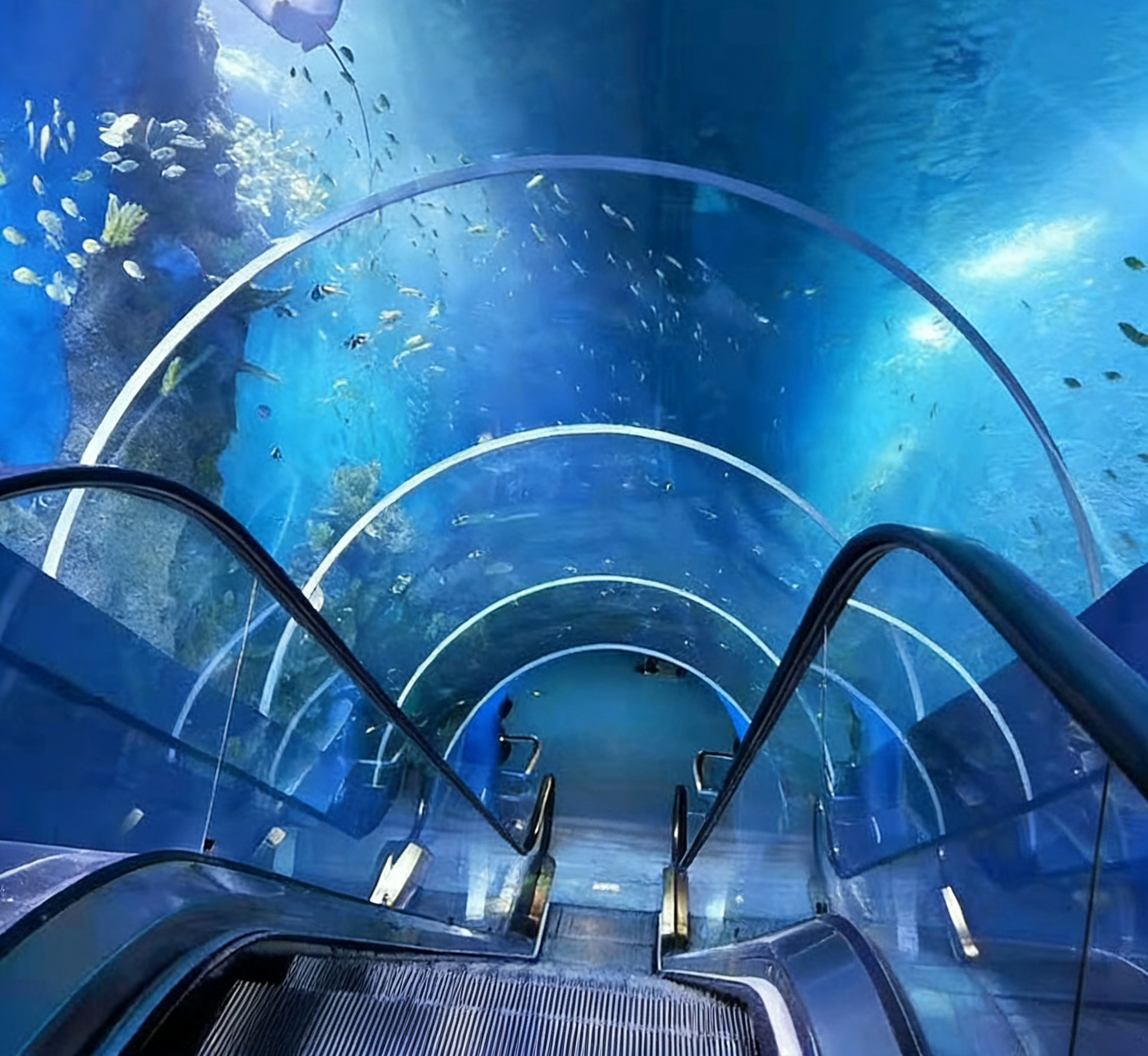亞克力水族魚缸，定制透明亞克力魚缸 亞克力水族館