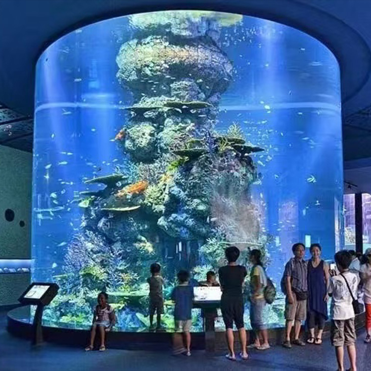 亞克力水族魚缸，定制透明亞克力魚缸 亞克力水族館