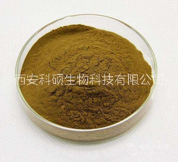 2026年熱銷產(chǎn)品羊藿提取物*羊藿單甙