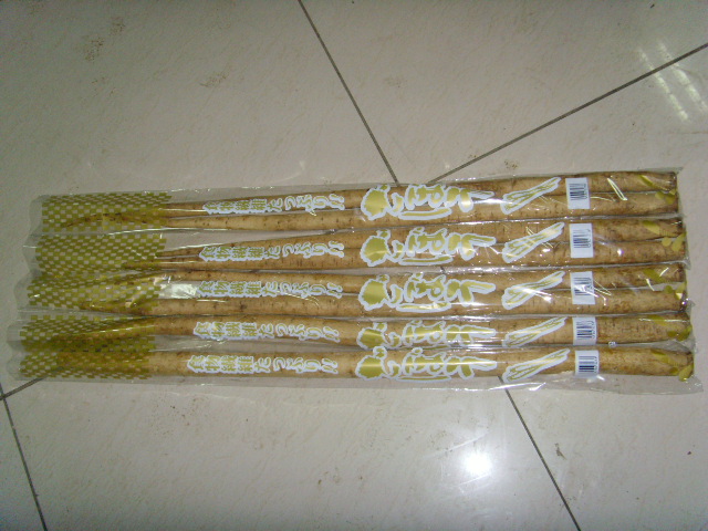 供應(yīng)用于食用  加工的優(yōu)質(zhì)S-3L級(jí)柳川理想牛蒡