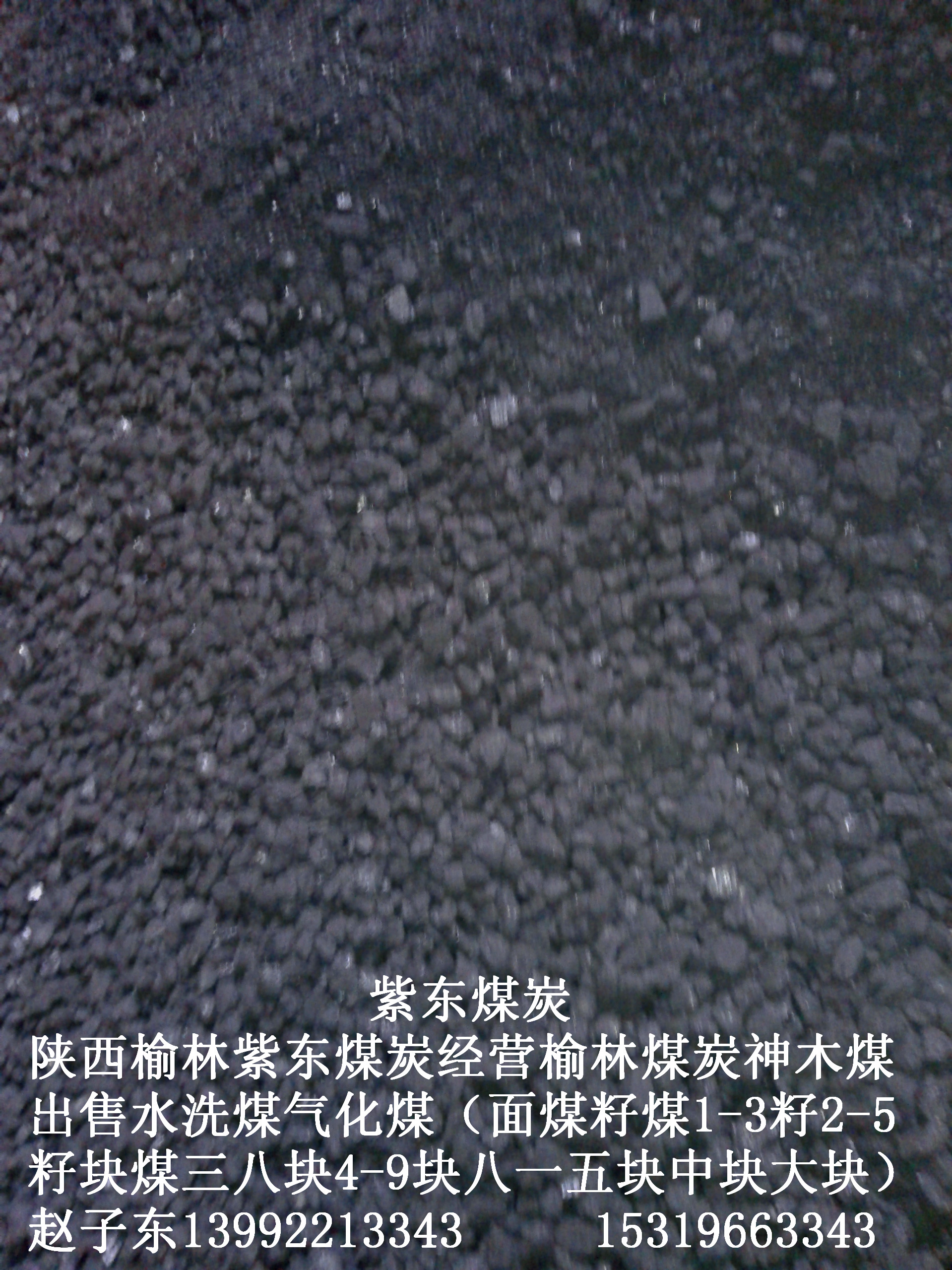 供應(yīng)用于冶金工業(yè)的銷售煤炭陜西榆林煤炭陜西神木煤炭出售面煤一三籽煤二五籽煤三六籽煤四九塊煤八零塊煤八一五塊煤中塊煤大塊出
