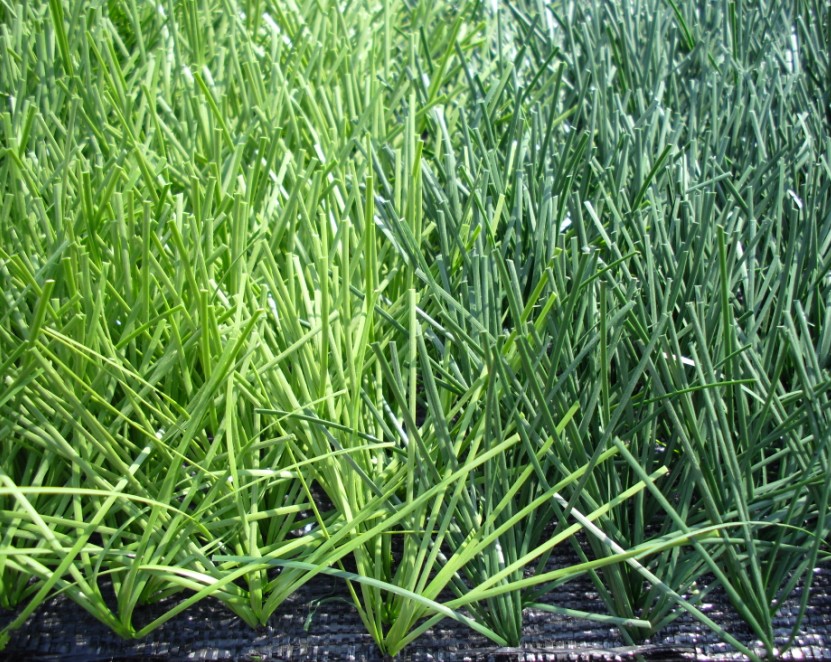 人造草運動場地，人造草坪施工工藝，人造草皮生產廠家