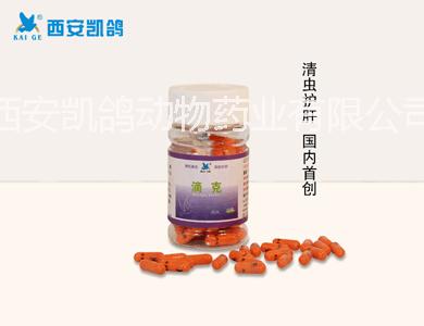 供應(yīng)用于鴿病的鴿藥,【滴克】200g/瓶