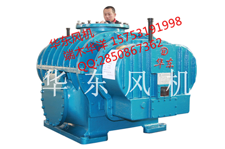 二葉鼓風(fēng)機(jī)