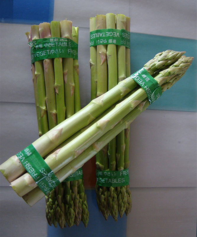 新品種T4-高產(chǎn)蘆筍種子，綠白兼用蘆筍種子