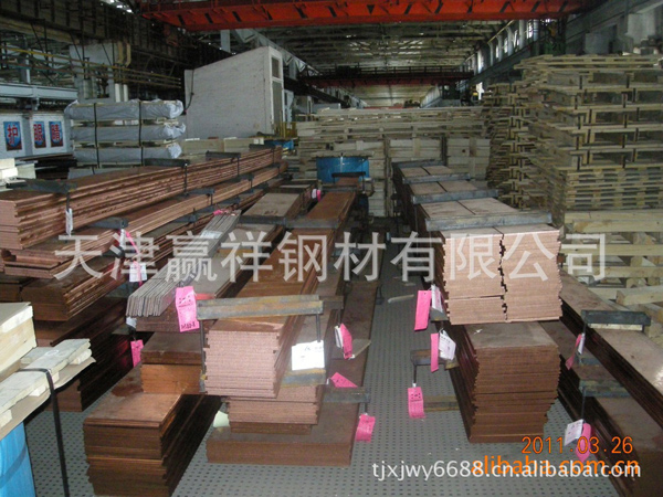 廠家現(xiàn)貨 防雷電 接地 鍍錫紫銅排