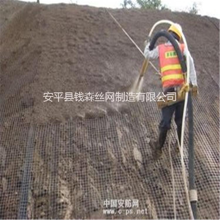 護(hù)坡噴漿鐵絲網(wǎng) 固土綠化植草網(wǎng) 礦山巖石客土噴播綠化種草施工 噴混植生網(wǎng)