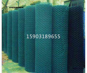 供應(yīng)養(yǎng)殖*荷蘭網(wǎng)|養(yǎng)殖業(yè)*鐵絲網(wǎng)