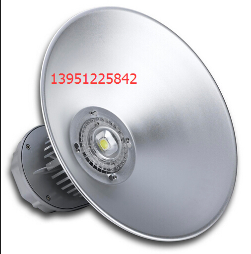 供應(yīng)LED工礦燈廠房燈80W100W