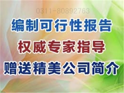 石家莊化工可行性研究報告范文編寫安全可靠