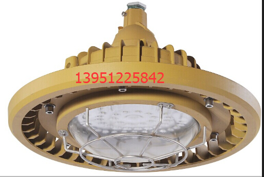 供應(yīng)ED防爆免維護(hù)節(jié)能燈,LED防爆燈