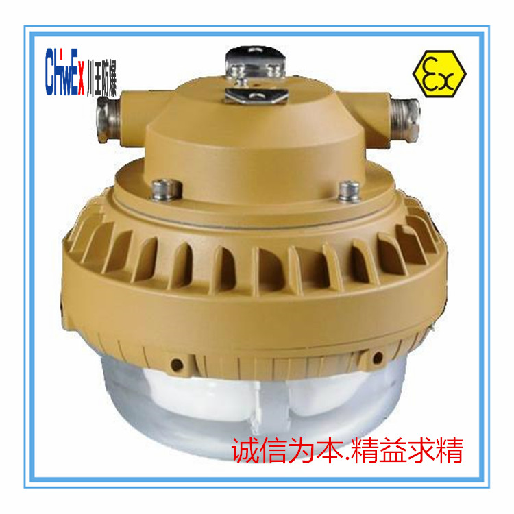 供應(yīng)工廠防爆無極燈防水防塵防腐