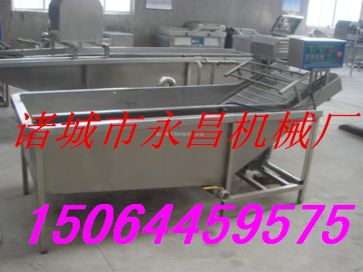 供應(yīng)蔬菜罐頭清洗機(jī)，果蔬清洗機(jī)，蔬菜清洗機(jī)，清洗流水線設(shè)備。