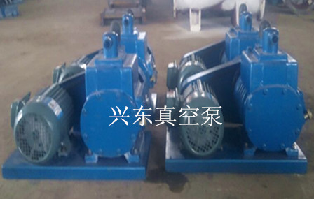 供應(yīng)2X雙極旋片式真空泵廠家 旋片式真空泵型號(hào) 旋片式真空泵價(jià)格