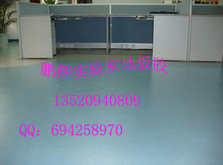 供應(yīng)實驗室*地板，化驗室耐酸堿地板，防腐蝕塑膠地板