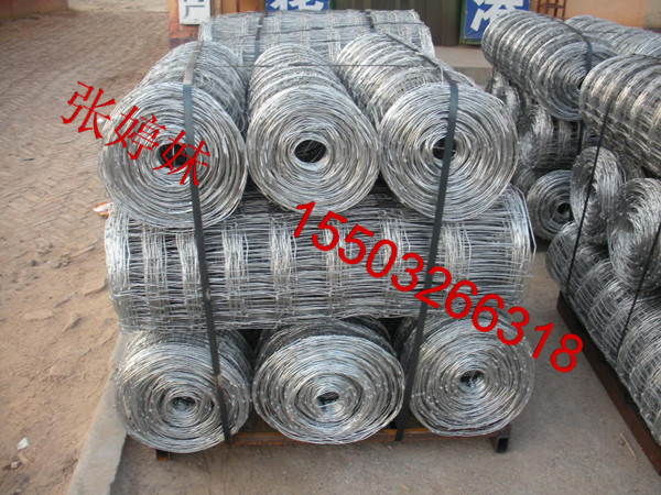 出口牛欄網(wǎng) 優(yōu)質(zhì)高質(zhì)量出口牛欄網(wǎng)