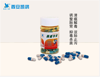 鴿藥,凱鴿鴿藥【腸道*】純中藥調(diào)整腸胃,抑毒*清瘟解毒