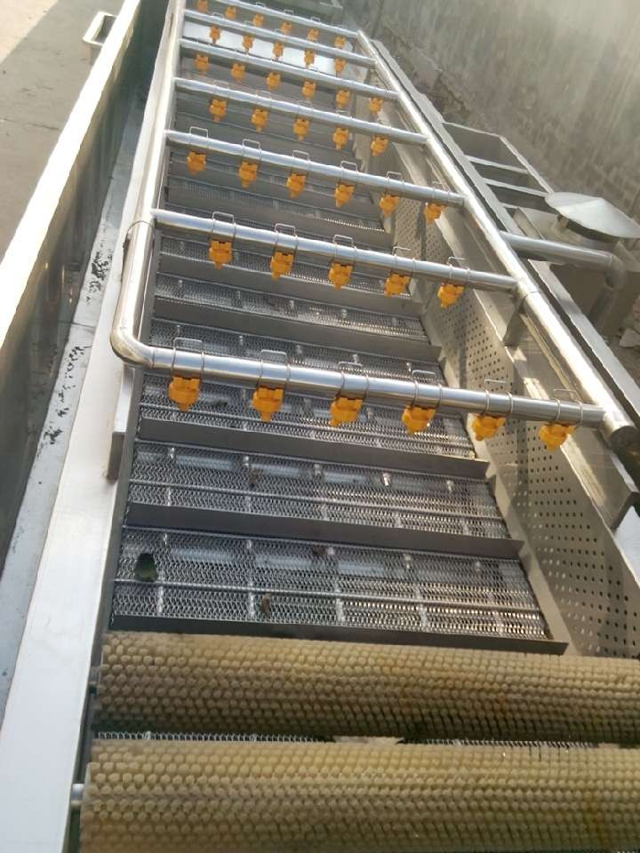 供應(yīng)廠家*用于清洗海蜇的海蜇清洗機(jī)