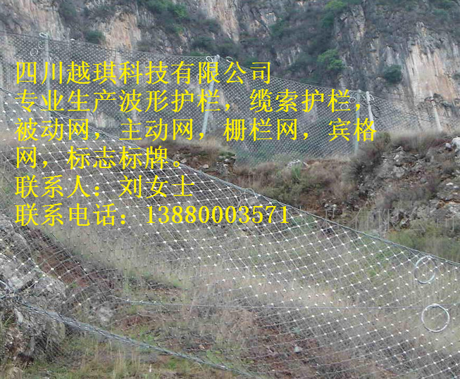 供應(yīng)RXI-200被動網(wǎng)各型號成都廠家供應(yīng)