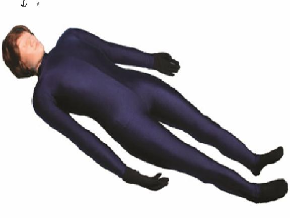 供應(yīng)X射線仿真人教學(xué)模體