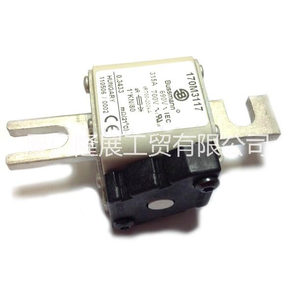 供應(yīng)美國Bussmann熔斷器170M3119