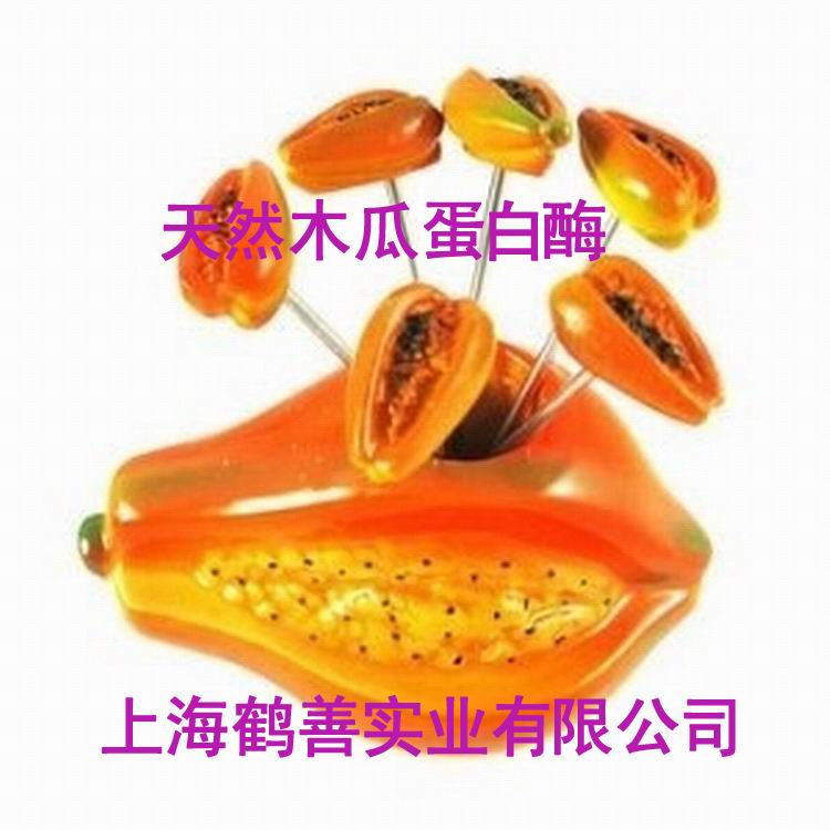 供應(yīng)用于酶制劑的木瓜蛋白酶