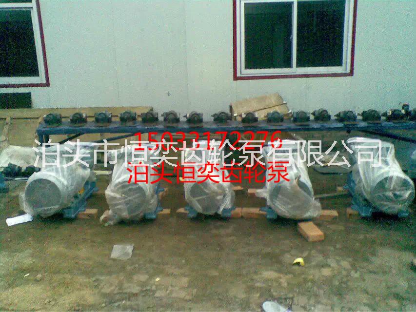 圓弧齒輪泵 泊頭恒奕防爆型YHCB型圓弧齒輪泵