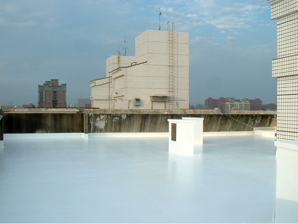 供應(yīng)坪山防水補(bǔ)漏公司I坪山屋頂隔熱公司I坪山防水防漏公司