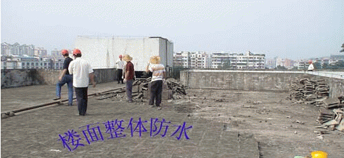 供應深圳坑梓防水補漏公司15920051600