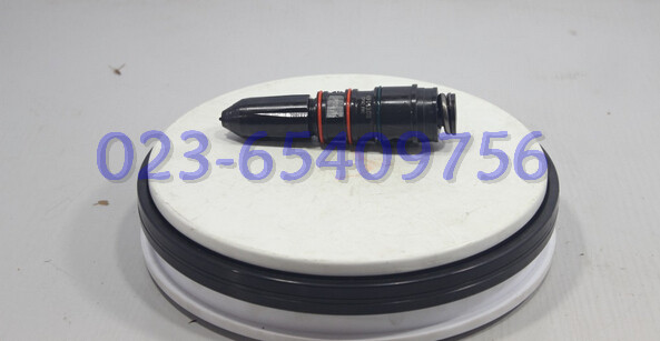 供應用于康明斯發(fā)動機的NT855-C康明斯噴油器4914308