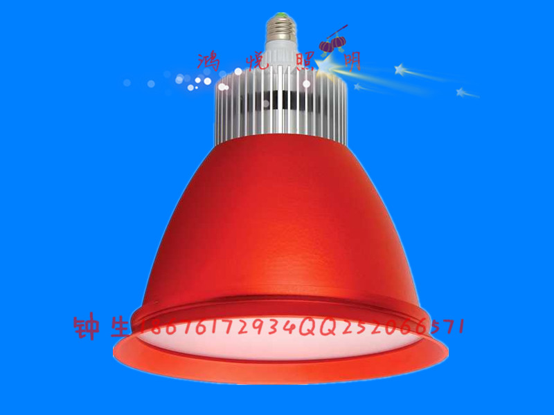 供應(yīng)用于超市照明的超市LED生鮮燈水果蔬菜生鮮燈30w豬肉LED燈