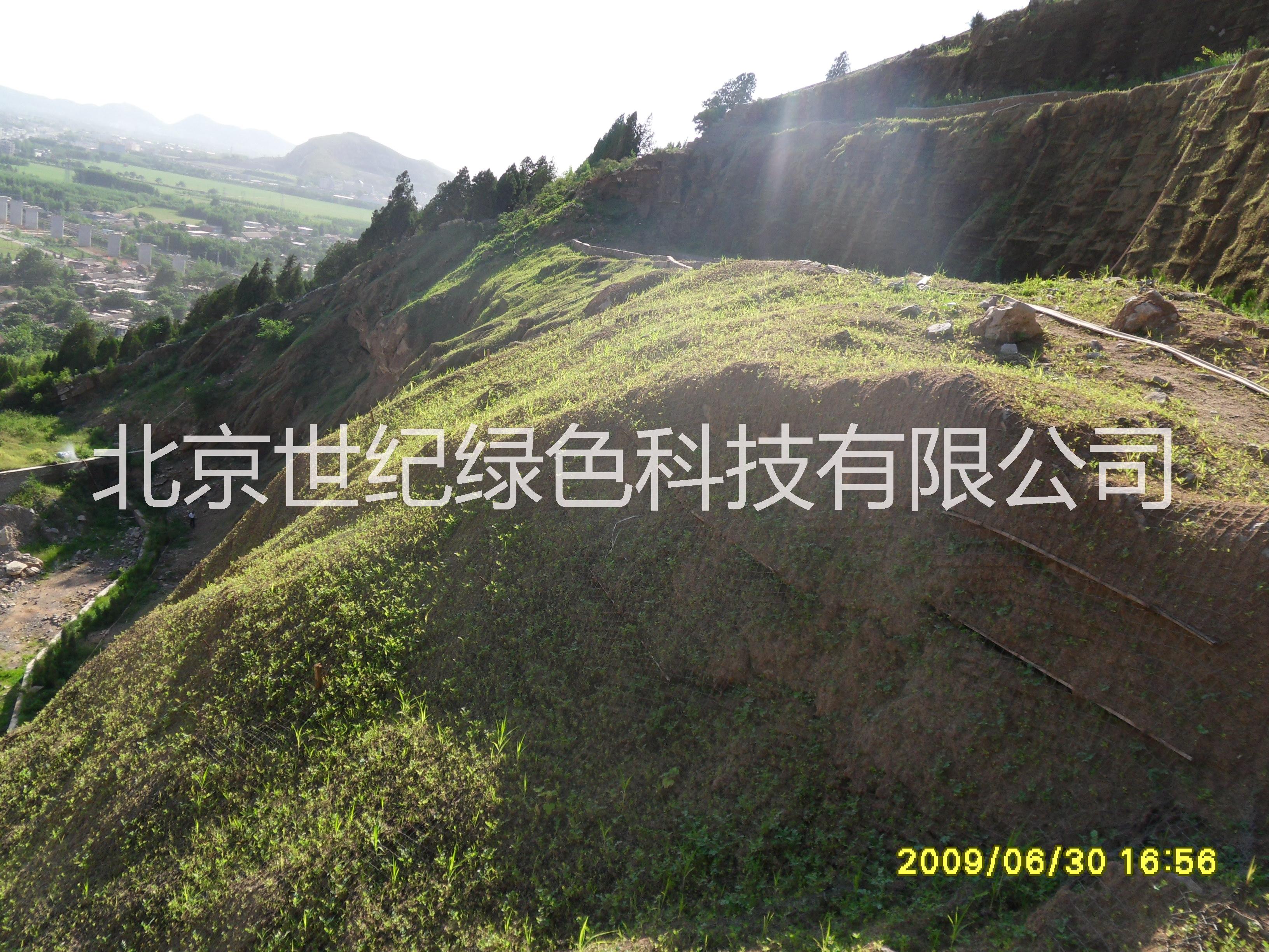 供應(yīng)生態(tài)植被毯       環(huán)保植被毯