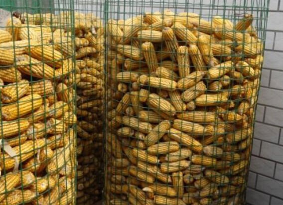 廠家直銷@東北圈玉米網(wǎng)子大量現(xiàn)貨供應(yīng)@價格*@質(zhì)量*