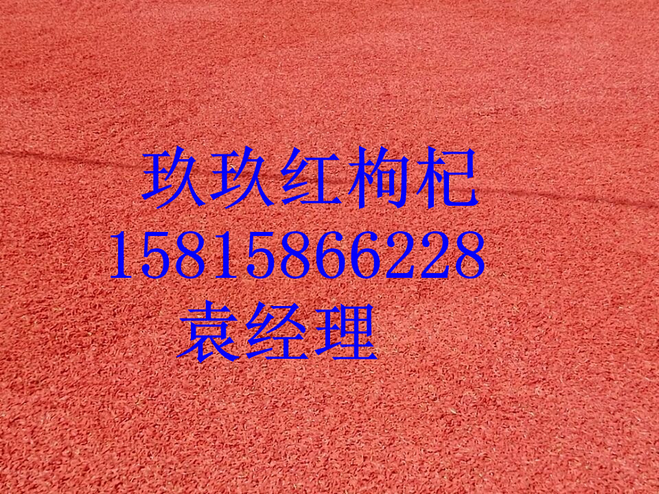 供應(yīng)用于養(yǎng)生膳食的呼和浩特枸杞，呼和浩特枸杞價(jià)格