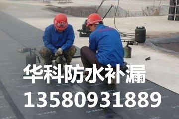 供應用于的外墻裂縫防水東莞外墻裂縫防水補漏 東莞專業(yè)外墻裂縫補漏公司