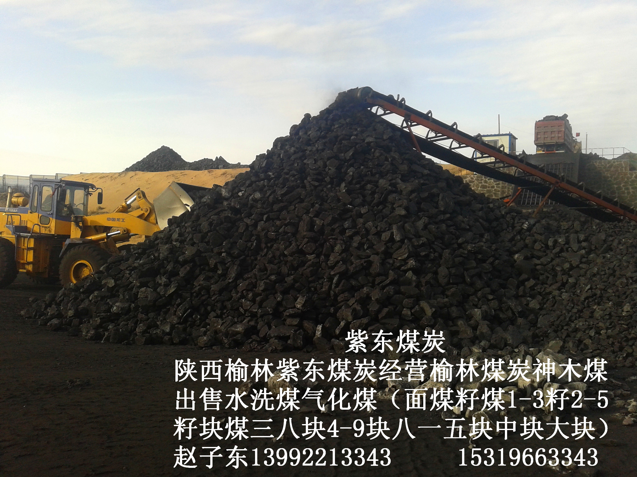 供應用于民用的出售水洗煤氣化煤炭陜西榆林出售面煤二五籽煤四九塊煤中塊大塊出售