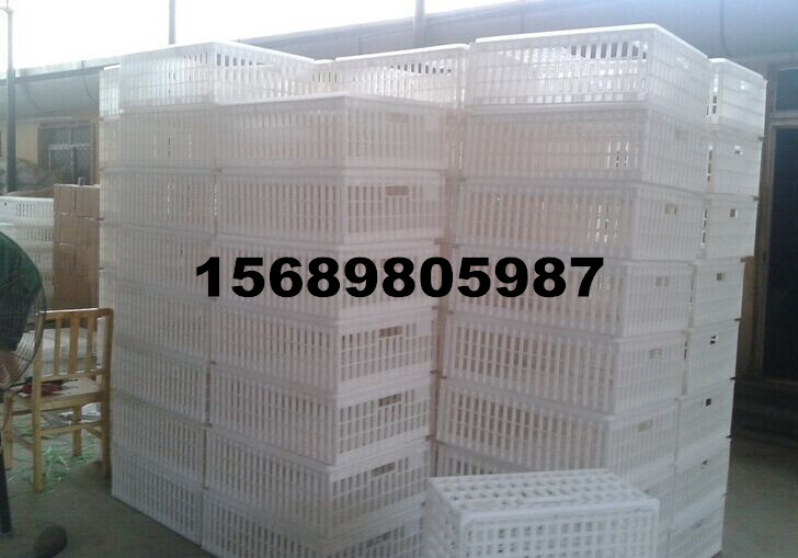 供應(yīng)用于周轉(zhuǎn)雞的容量大經(jīng)久耐用大雞筐塑料雞籠拉雞塑料籠子