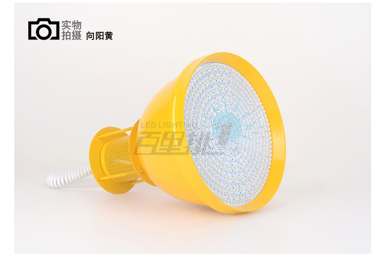 供應(yīng)百里挑一豬肉燈生鮮燈超市燈水果燈