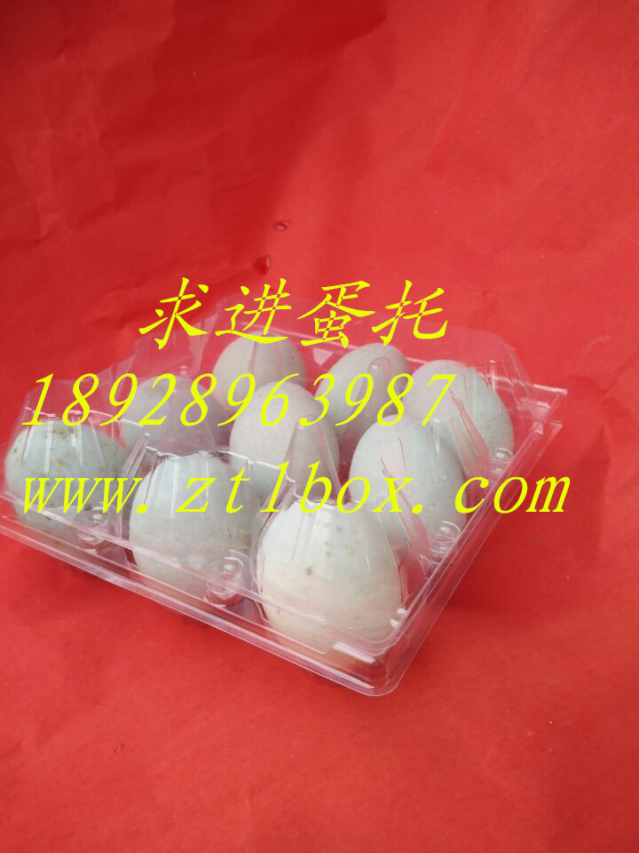 裝鴨蛋的塑料盒子價格   裝鴨蛋的塑料盒子批發(fā)