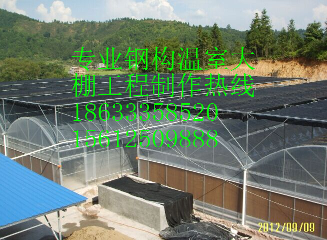 供應(yīng)鋼結(jié)構(gòu)大棚制作，鋼構(gòu)大棚施工，溫室大棚設(shè)計(jì)，鋼架大棚工程承接，唐山東南創(chuàng)通鋼架大棚施工公司