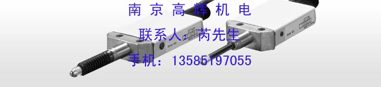 特價熱賣 日本索尼SONY測長器 探規(guī)DL310B