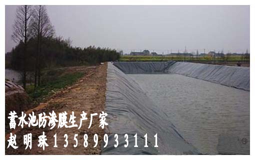 供應(yīng)酒泉防滲膜廠家 酒泉防滲膜價格