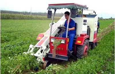 供應(yīng)花生聯(lián)合*率收獲機采購