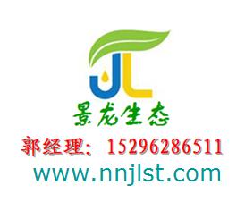 廣西邊坡綠化|廣西灌木種子|廣西高羊茅|南寧高羊茅