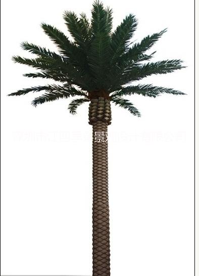 供應仿真海棗樹     仿真植物廠家直銷