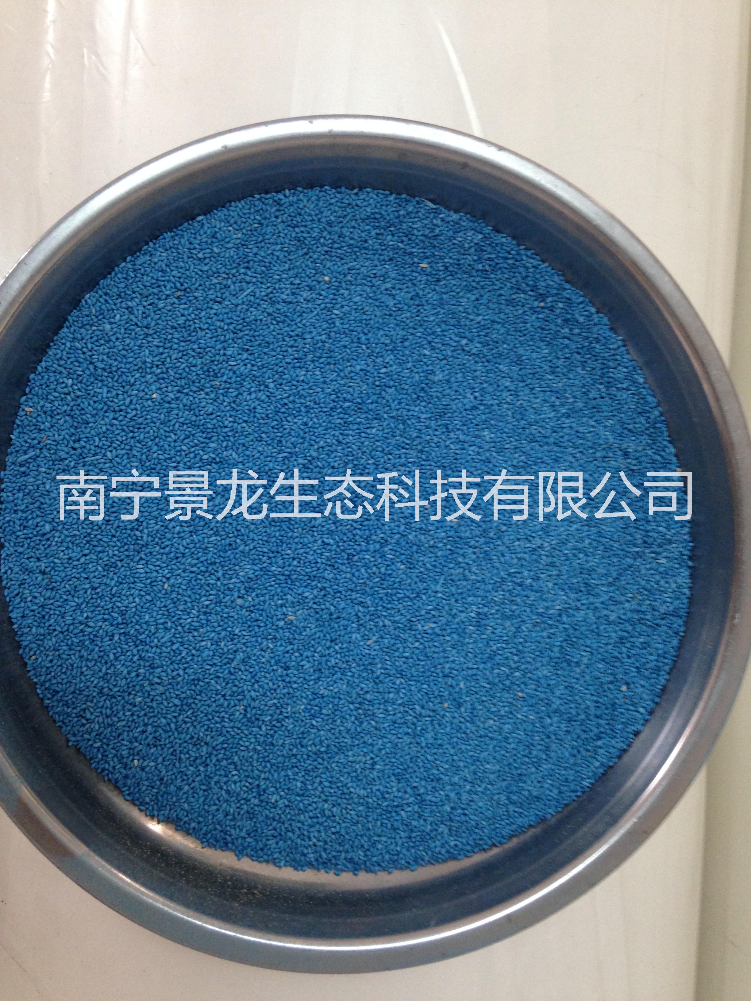 廣西邊坡綠化|廣西灌木種子|廣西豬屎豆|南寧豬屎豆