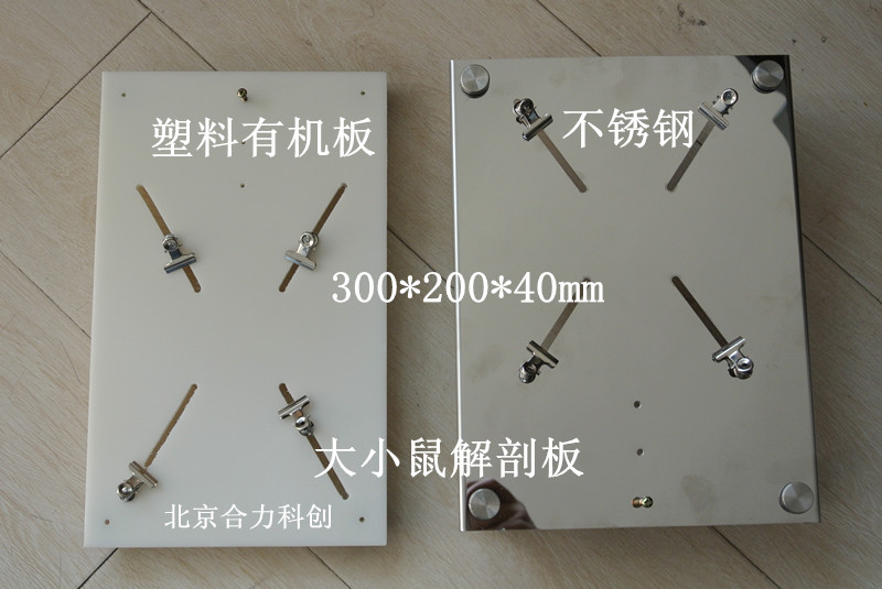 大小鼠解剖板  鼠解剖臺 廠家直