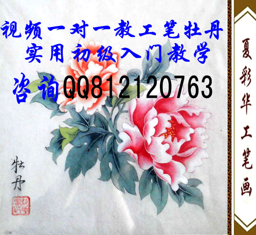 供應工筆牡丹入門視頻一對一實用教學